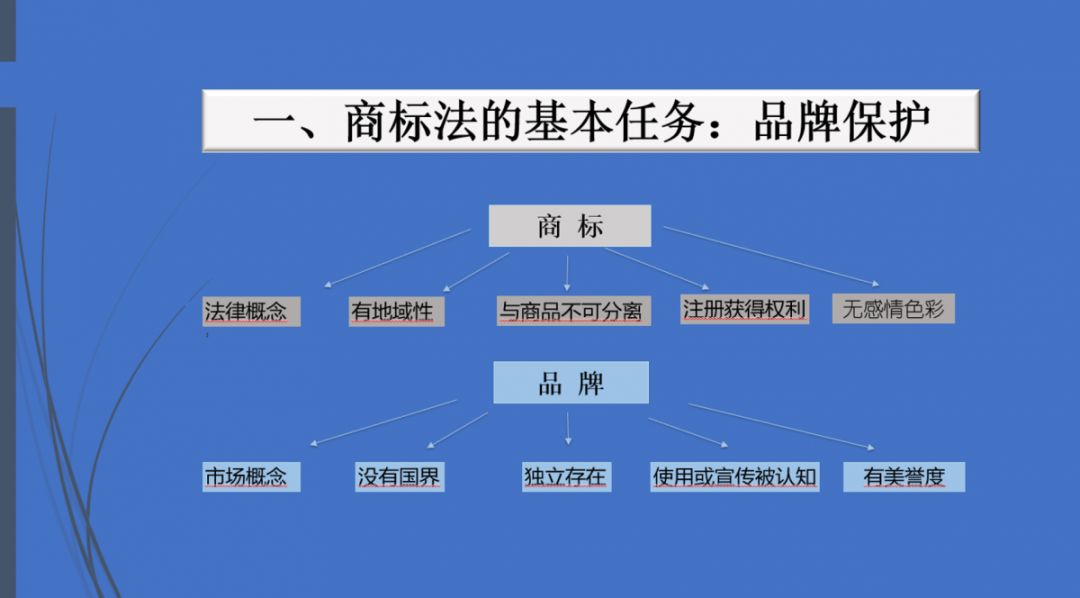 理化直播，探索教育新模式之路