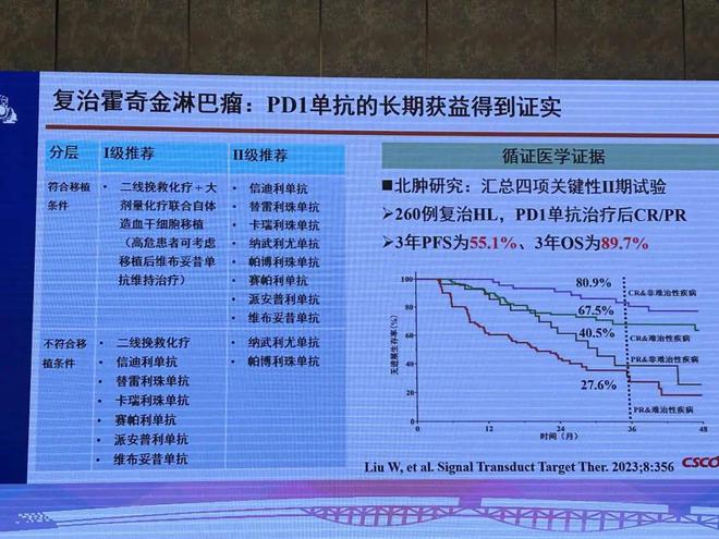 2024澳門免費(fèi)料庫精準(zhǔn)指南，策略解析攻略_IKD清新版