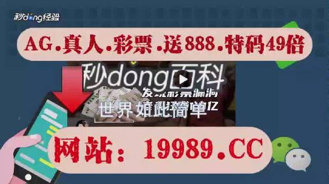 2024年澳門天天開獎免費查訊，靈活方案啟動_WSB4.26.73升級版