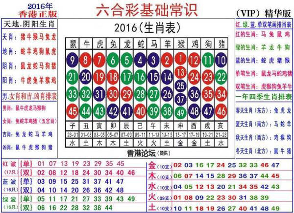 2024生肖49碼策略圖表，精巧布局FKX7.65.89管控版