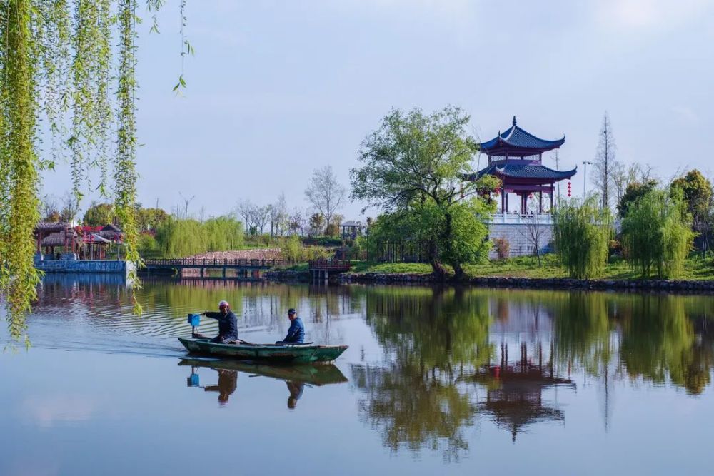 盤城街道最新動態(tài)概覽，綠意盎然傍晚的發(fā)展新貌