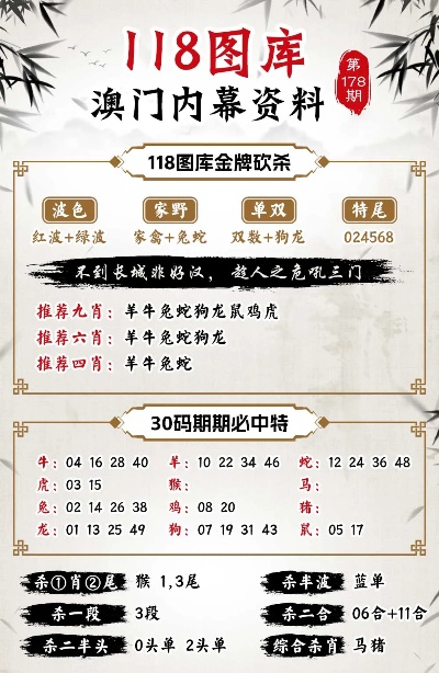 澳門新內部碼精準披露，精選解析_珍稀版SOH472.42揭秘