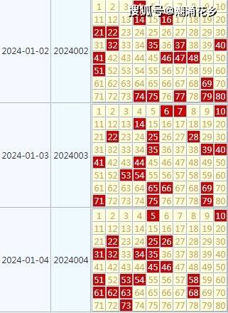 2024天天彩官方資料匯編，全面評估準則_IQV值491.57