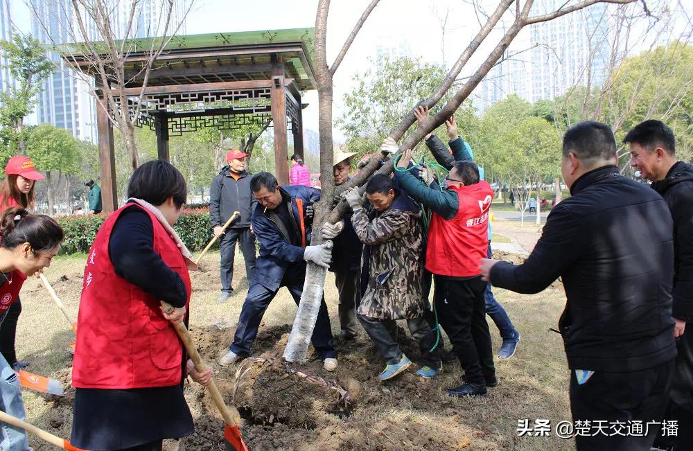 漢南普工最新招聘,漢南普工最新招聘——加入我們的團隊，共創(chuàng)輝煌