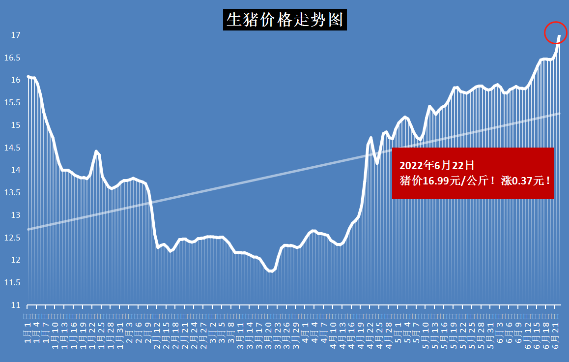 河南生豬價(jià)格今日最新動(dòng)態(tài)，智能畜牧科技引領(lǐng)新紀(jì)元