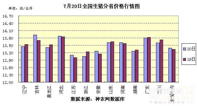 全國最新生豬價格走勢，一場自然美景探索之旅的伴隨變化