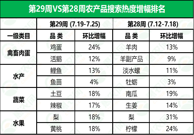 金鄉(xiāng)鮮大蒜最新行情揭秘，小巷深處的蒜香寶藏與價(jià)格走勢分析