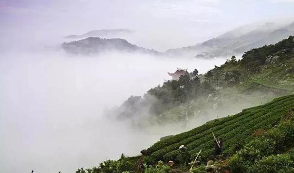 火山最新動態(tài)，活躍地標與時代印記的融合