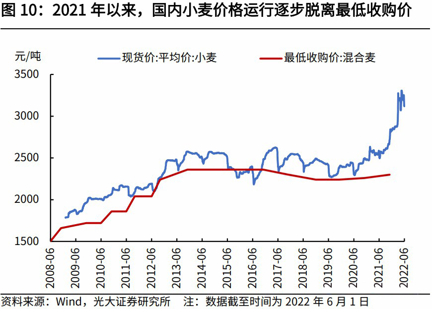 科技引領(lǐng)未來，小麥?zhǔn)袌?chǎng)最新行情分析，洞悉小麥價(jià)格動(dòng)態(tài)