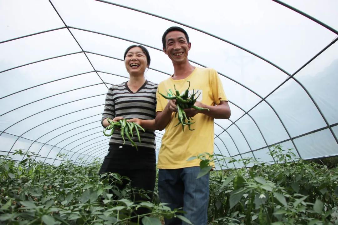 致富經(jīng)最新視頻,致富經(jīng)最新視頻，探索成功的秘訣與財富之路