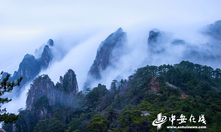 黃山最新動態(tài)報道