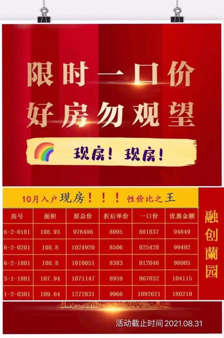 哈慈400044最新公告揭秘，背后的溫馨故事浮出水面