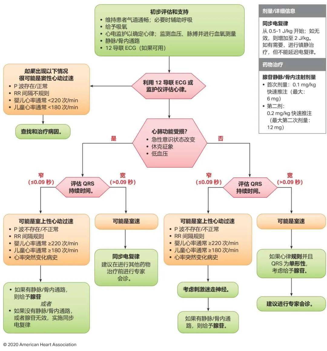 震撼發(fā)布！2024年最新心肺復(fù)蘇指南原版詳解與解讀??