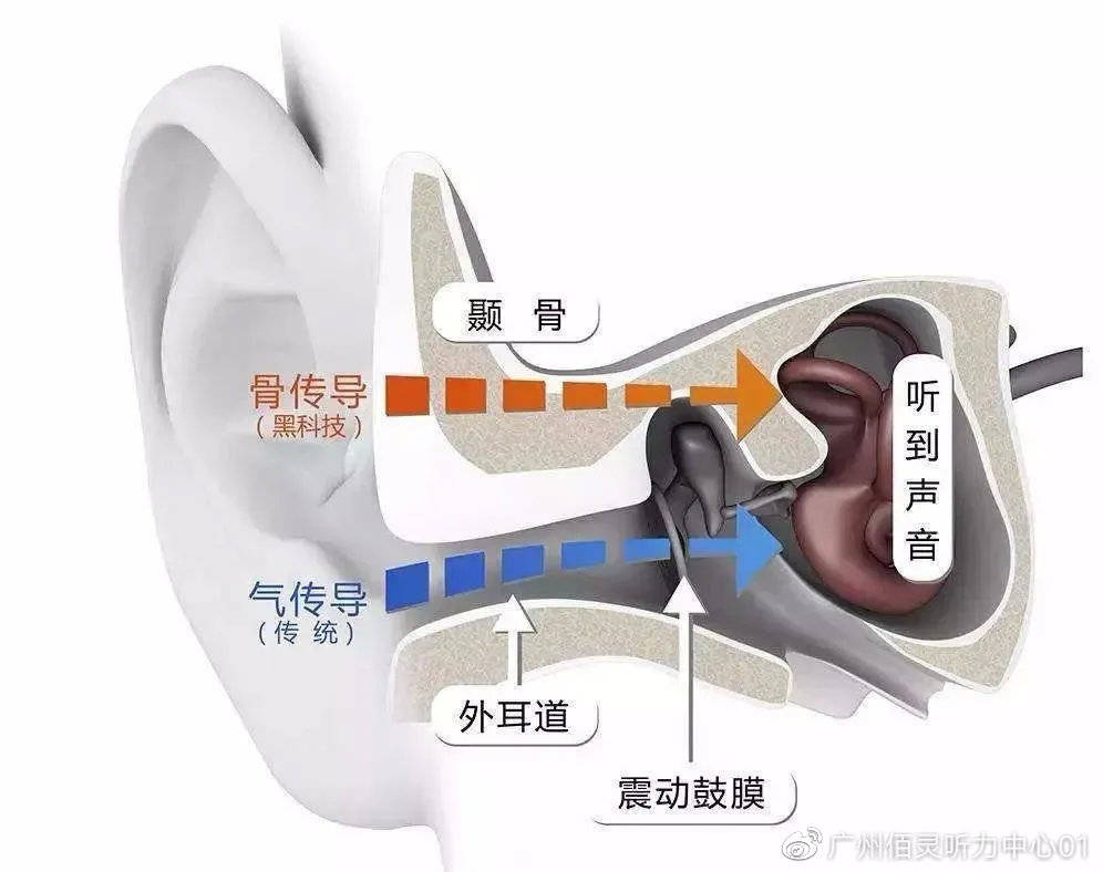 美國(guó)耳蝸的秘密，探秘最新款耳蝸耳機(jī)之旅