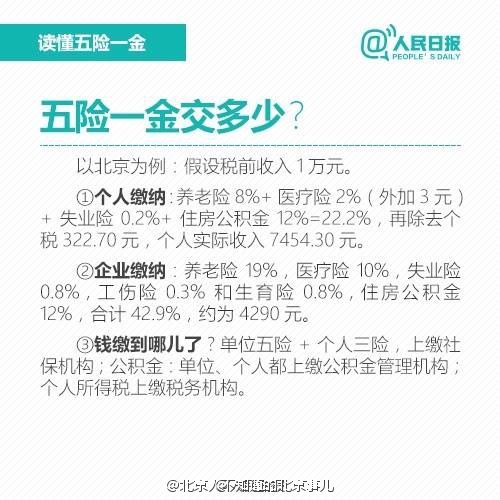 五險(xiǎn)最新政策變化解析，力量與自信的源泉