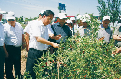 石嘴山蔣文齡，傳奇人物的現(xiàn)代足跡最新信息