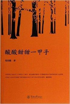 甲子最新小說，科技之巔，未來已至——全新高科技產品冒險之旅