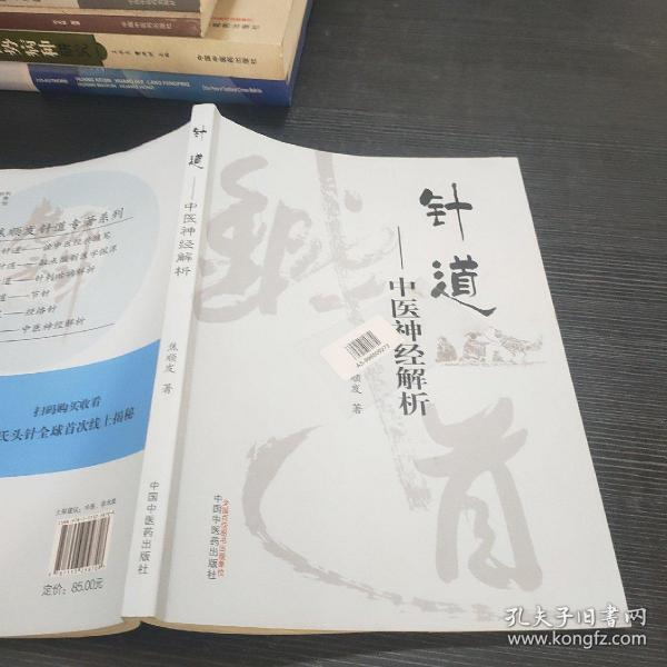 針道最新，小巷深處的織夢(mèng)小鋪