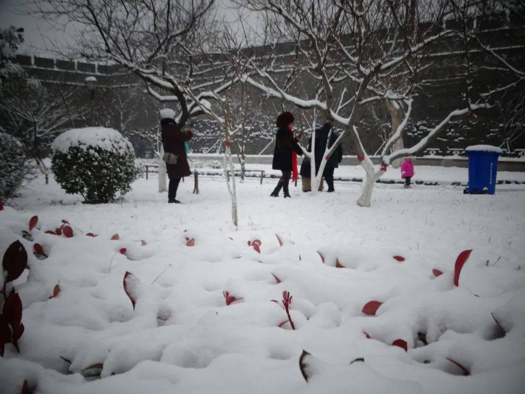 最新下大雪，自然盛宴背后的啟示