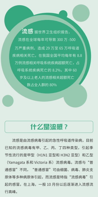 病毒流感最新報道，多方觀點交織的深入探討