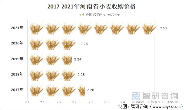 焦作小麥價(jià)格最新行情，變化中的機(jī)遇與自信的力量展現(xiàn)