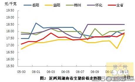 永州豬價行情，科技引領(lǐng)智能養(yǎng)豬新時代！