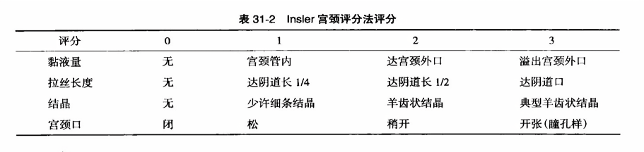 龍行虎步