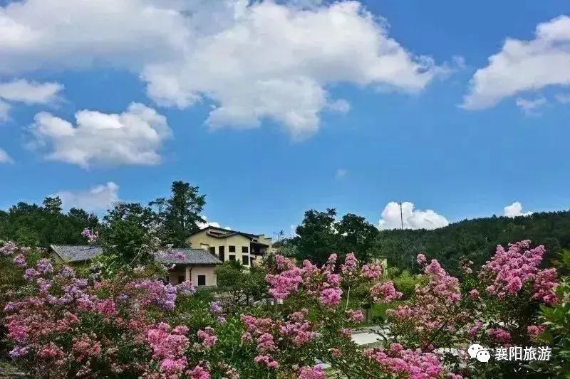 東津高鐵站最新動態(tài),東津高鐵站最新動態(tài)，啟程自然之旅，探尋內(nèi)心之寧靜