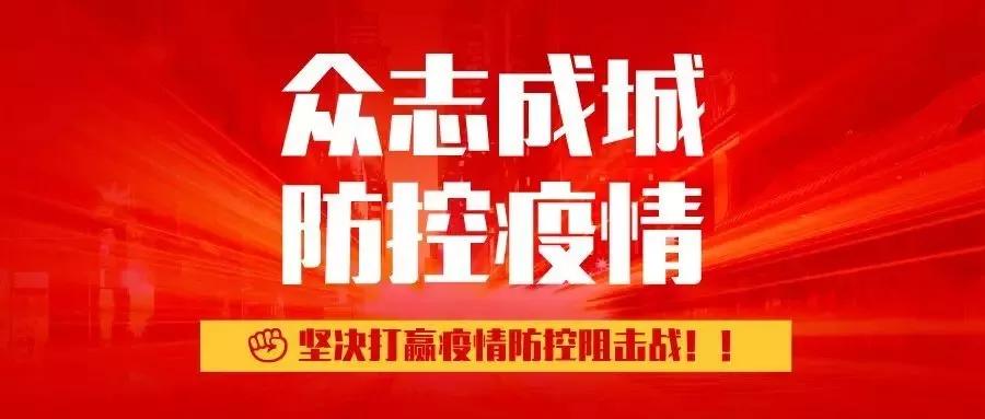 溫馨的午后，肺炎最新進展與日常故事交織的啟示