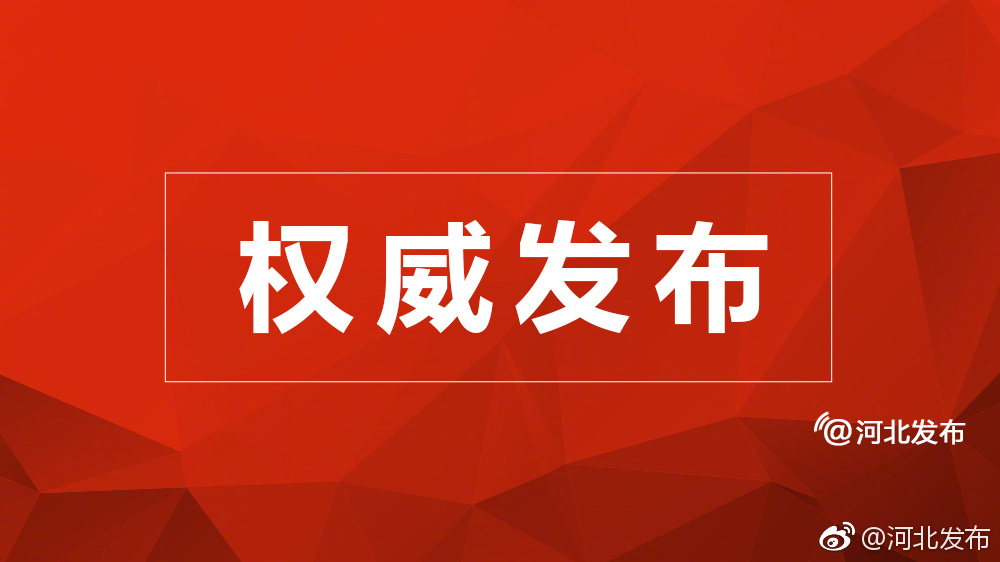 保定市岳文民最新信息及小巷深處的隱藏美味