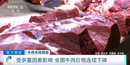 進口牛肉行情揭秘，巷弄中的美味探索之旅