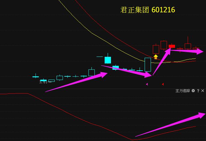 科技前沿進(jìn)展動(dòng)態(tài)，最新分析揭示601216發(fā)展趨勢