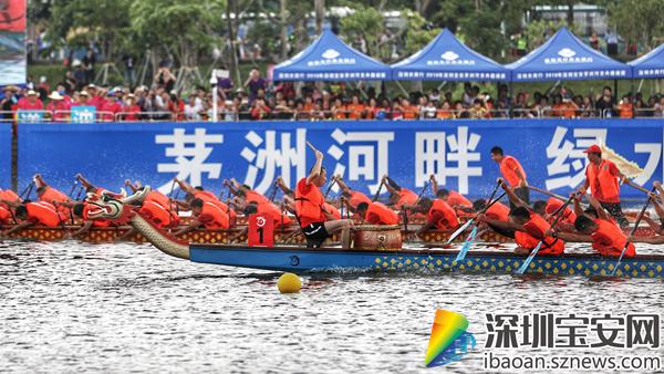 親近自然之旅，2017深圳龍舟比賽的寧靜與激情