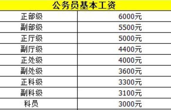 張公務(wù)員工資最新動(dòng)態(tài)詳解，全面步驟指南與動(dòng)態(tài)更新分析報(bào)告！